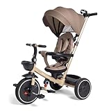 Chicco Gioco Triciclo 4in1, Triciclo evolutivo dai 6 mesi fino ai 4 anni, segue la crescita del bambino, Capote rimovibile, ruote in gomma EVA, maniglia telescopica, facile da piegare, pedali liberi