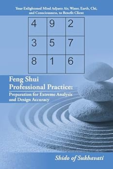 Paperback Feng Shui Professional Practice: Preparation for Extreme Analysis and Design Accuracy Book