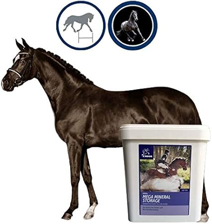 supplemento minerale per cavalli