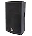 Peavey SP 2 1000-Watt 2-Way PA Speaker