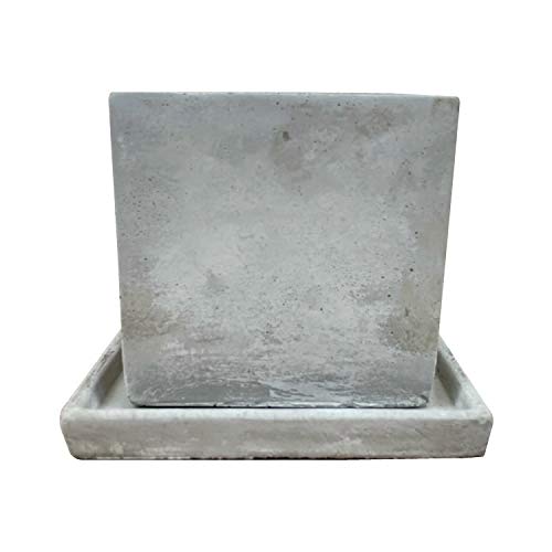 Aؔ VvRN[g|bg lp ꌊL (11cm)