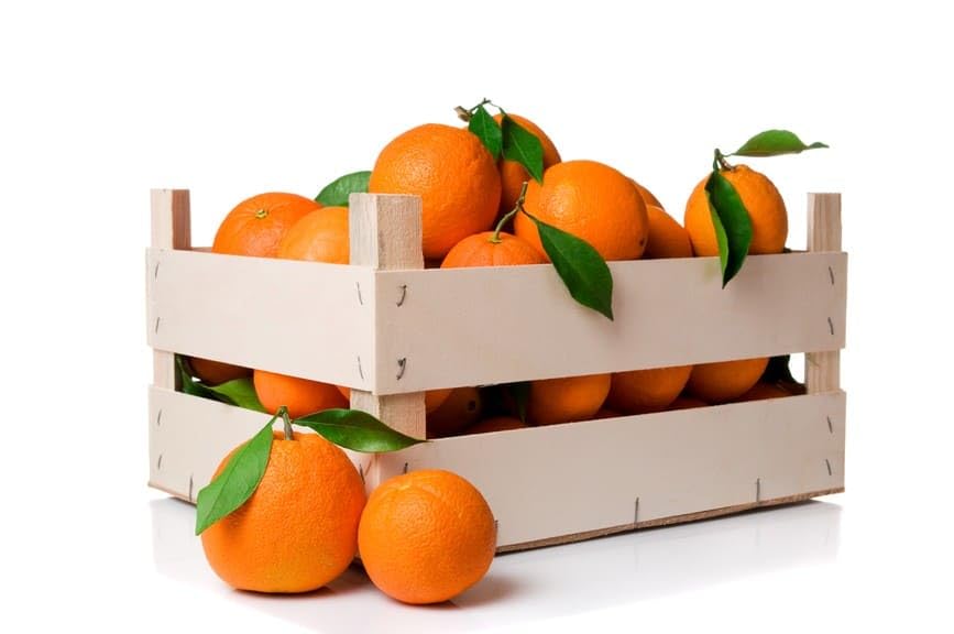 Naranjas y Mandarinas Frescas Directas del Árbol | Sin Tratamientos Postcosecha | Packs 4,5,9, 4, 28 y 42 kg | Envío 24/48h | Fruta Natural Valenciana (Caja Naranjas 9 Kg)