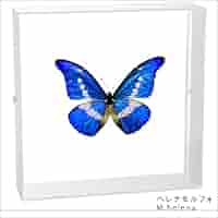 41bFLseKiaL._AC_SY200_QL15_.jpg