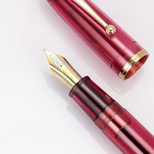 Jinhao 9019 Dadao Series #8 Stylo plume à pointe moyenne, corps en acrylique transparent bleu clair avec clip doré
