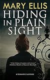 Hiding in Plain Sight (A Kate Weller Mystery)