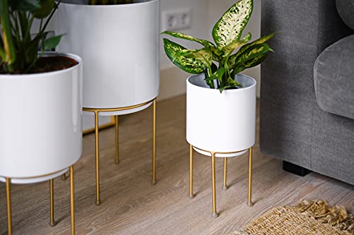 Kimisty Set Of 3 Mid Century White Large Planters With Gold Metal Stand, Standing Metal Pot For Fig Tree, Snake Plant & Palm, Tall Floor Tree Planter, Modern Decoration For Living Room, Indoor Decor #TOP3