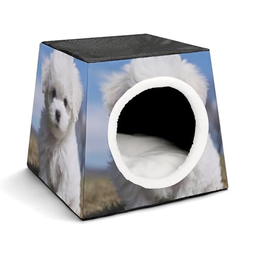 Nichoir confortable pour animaux et chat d'intérieur capsule d'espace - 2
