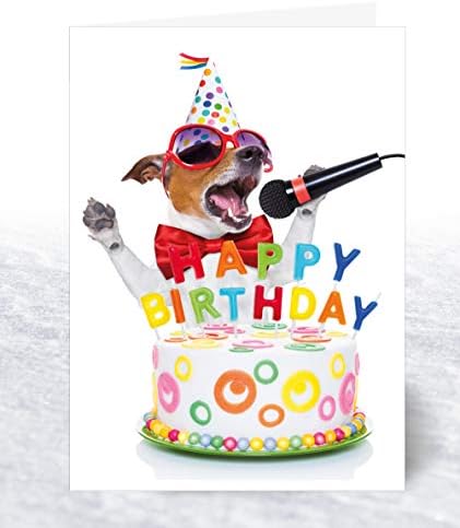Olivia Samuel 12 x Kids Birthday Cards Pack & Envelopes Great value pack of birthday cards on 300gsm card. 6 Designs ideal for Children. UK Made and Fully Recyclable.