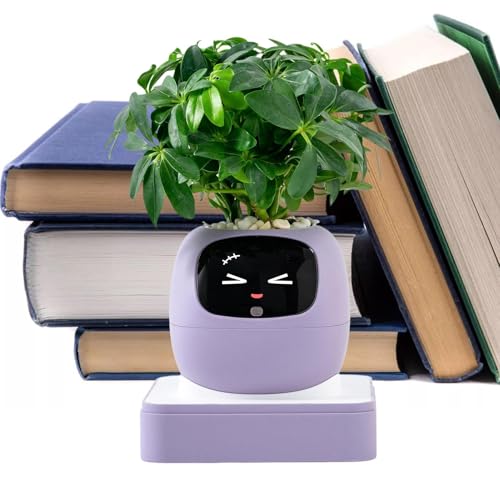 Smart Planter pot de fleurs lierre intérieur maison et débutants - 2