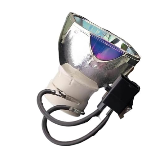 Ampoule nue DT01191 pour projecteur Hitachi CP-X2521WN et HCP-U25S