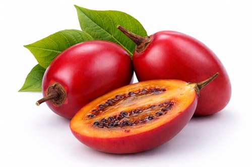 Tamarillo Tree Tomato Seeds