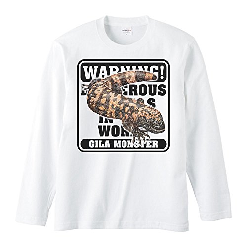 GCfBGX(MYDS) AJ hNgJQ댯V[Y/TVc//ݽM