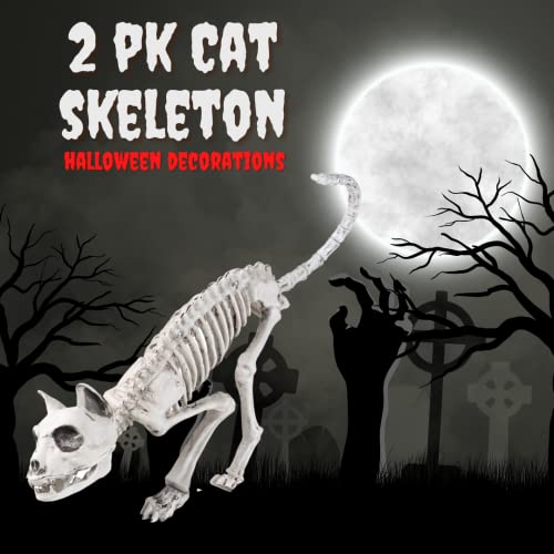 Scs Direct Cat Halloween Skeleton (2 Pack) - 14" Long- Weather Resistant Yard Fall Props & Decorations-Graveyard Prop For Haunted House Party Decor And Indoor/Outdoor Use, School Classroom Decoration #TOP1