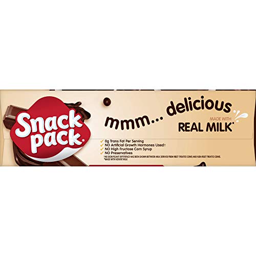 Snack Pack Chocolate Fudge & Milk Chocolate Swirl Pudding Cups, 3.25 Oz., 12 Count (Pack of 6)