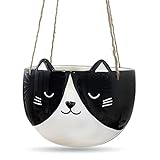 Carlton Lane Animal Planter Cat Decor – 7.9 x 8.7 x 5.9 Inches Cat Succulent Planter – Cute...