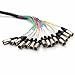 Seismic Audio 16-Channel XLR Snake Cable – 10 ft Professional Balanced Audio Multicore Cable with XLR Male to Female, Stage & Studio Use