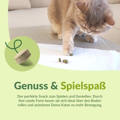 GimCat Gras Bits - Getreidefreier und vitaminreicher Katzensnack mit echtem Gras - 1 Beutel (1 x 425 g) – Ansicht 3