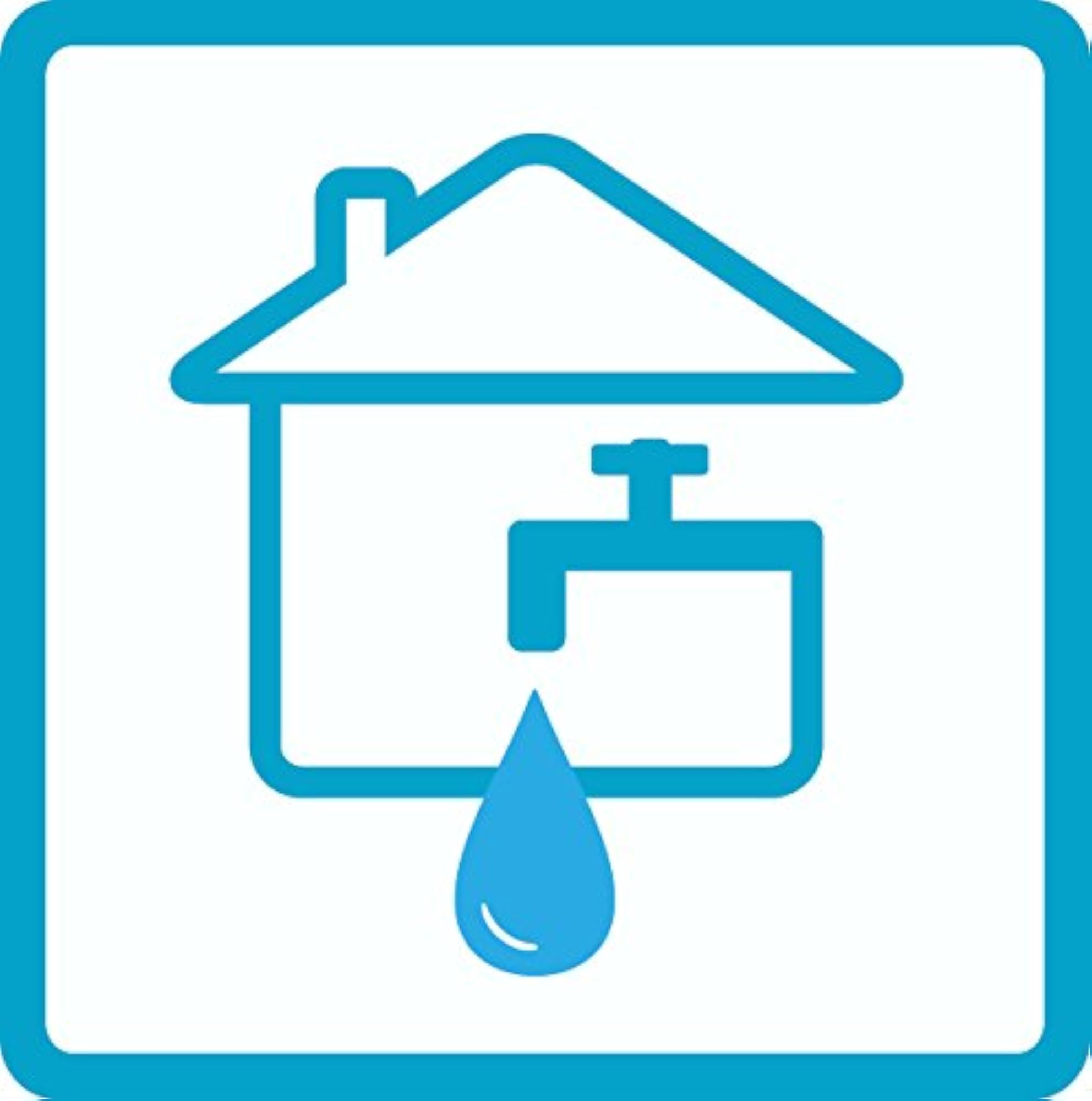 1 Litre Water Purifier Tablets, 100 Tablets Pack for Water Treatment