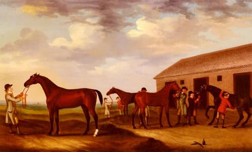 Affiches d'Art Quatre chevaux de course pour salon chic et bureau