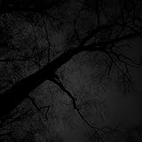 Open Air Cinema (That View from the Woods)