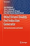 Wind Driven Doubly Fed Induction Generator (Power Systems)