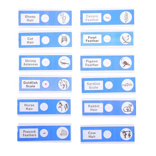 ERINGOGO 12 Stück Teiliges Vorbereiteter Kunststoff mikroskop objektträger mit Biologischen Proben für Sichere Kratzfreie Dauerpräparate Laborzubehör für Grundschul biologieunterricht und