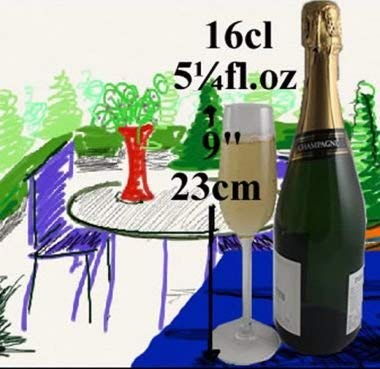 Copas de champán de cristal Dreamair para celebrar un 15 aniversario de boda único 2