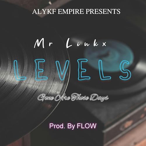 Levels (Amapiano) by Mr Linkx on Prime Music
