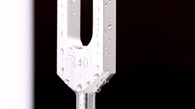 弦楽器 GOTOH Marvel Violin Tuner MVT-440T GOTOH Marvel Violin