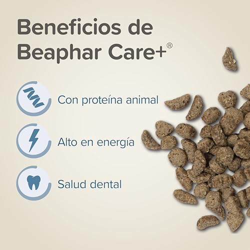 Beaphar Care+ Super Premium-Futter für Zwerghamster - 500 g - Hoher Energiewert - Zahnabfall und ohne Zuckerzusatz - Extrudiertes Futter