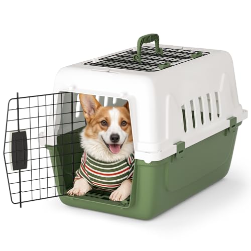 Magshion Pets Plastic Carrier, 22-Inch Hard-Sided 2-Door Top-Loading Kennel for Small Dogs and CatsLonger Traveling, Durable Handle, and 4 Sides Ventilation for Pet Up 22 lbs (White+Green)