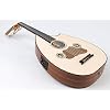 Electric Oud Cutaway Semi Acoustic Oud