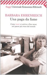 Una paga da fame. Come (non) si arriva alla fin... [Italian] 8807818019 Book Cover