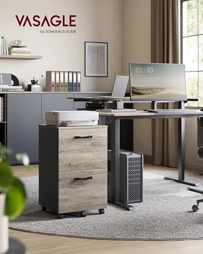 Image of VASAGLE 2-Drawer File Cabinet, Small Rolling Filing Cabinet for Home Office, Printer Stand, for A4, Letter-Size Documents, 15.7 x 16.5 x 27.6 Inches, Heather Greige and Ink Black UOFC040B02
