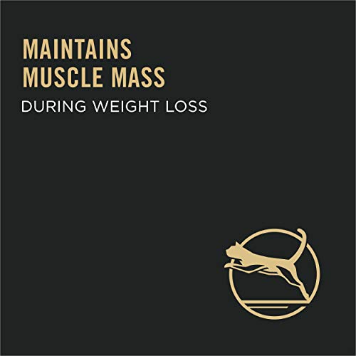 Purina Pro Plan Weight Control Dry Cat Food, Chicken and Rice Formula - 3.5 lb. Bag - Image 3