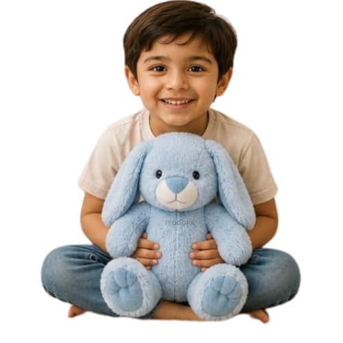 Image of Paw Rabbit Soft Toy for Girls Boys Kids,Sky Blue,Rabbit Bunny Animal Plush Stuffed Baby Teddy Gift Birthday, 30 cm