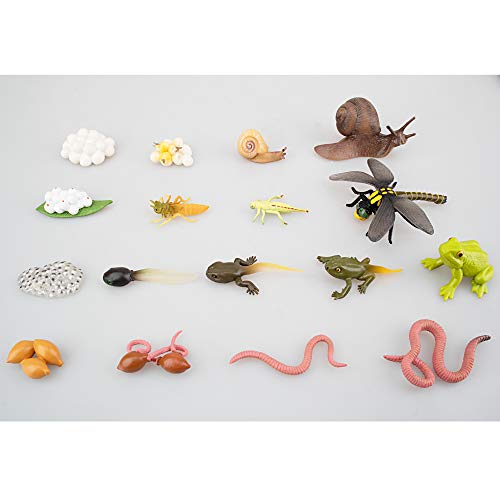 Toymany 17Pcs Life Cycle Of Frog Snail Earthworm Dragonfly, Egg Tadpole To Frog Safariology Amphibian Figurines Toy Kit, Plastic Forest Animal Figures Educational School Project #TOP5