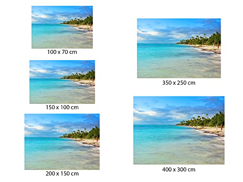 Miniatura 5 de Fotomural Vinilo Pared Paisaje Playa Palmeras Fotomurales Pared Fotomural Decorativo Mural Vinilo Decorativo Varias Medidas 200 X 150 Cm Decoración Comedores Salones