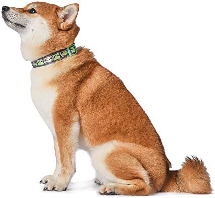 yoda dog collar