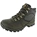 Timberland Men's Mt. Maddsen Hiker Boot