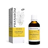 PRANAROM - Calófilo - Aceite Vegetal 100% Bio - Calophyllum Inophyllum - Obtenido por Primera Presión en Frío del Fruto del Calófilo - 50ml