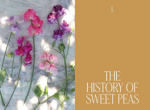 Sweet Pea School: Growing & Arranging the Garden's Most Romantic Blooms - Image 9