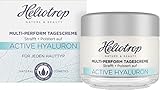 Heliotrop