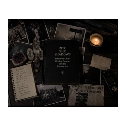 Into the Shadows cover art