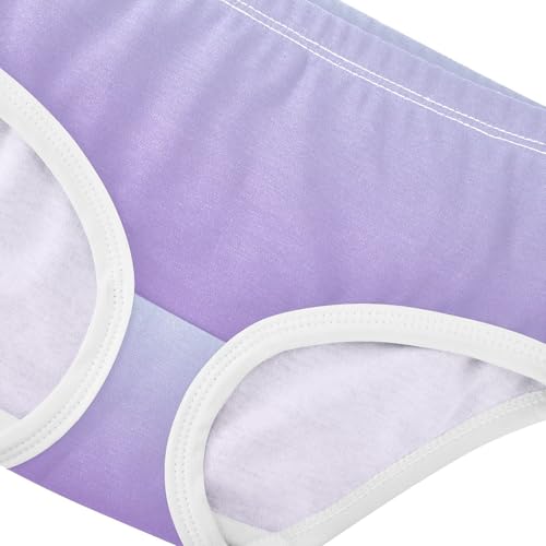 Joisal Elegant Blue Amethyst Gradient Girls Underwear Toddlers 2t Cotton Little Girl Panties Bright Kids Briefs Undies4