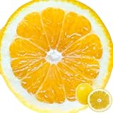 【極上 河内晩柑】愛�