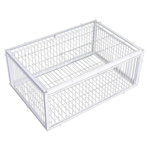 Trampa de Conejo, Trampa para pájaros con diseño a Prueba de Escape Jaula de Paloma de Hierro al Aire Libre jardín de jardín de Humane para Paloma Pollo Conejo de ratón, Jaula