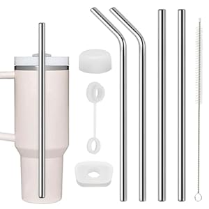 Bipl 20240907M171BXGXMJSS09 Edelstahl Strohhalme Set