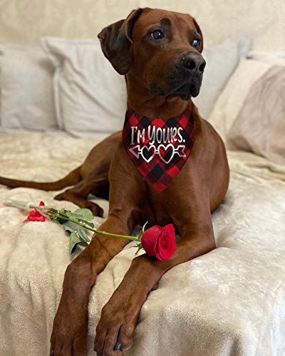 Pack Of 2 Dog Bandana Valentines Day - Reversible Buffalo Plaid Triangle Bibs Pet Scarf #TOP3