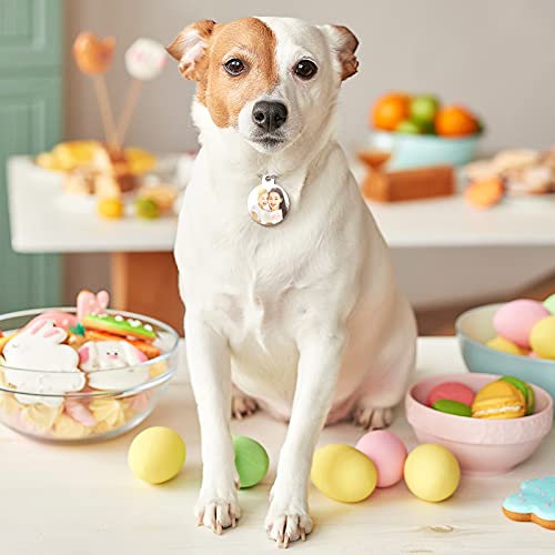 Frienda 24 Pieces Dog Tags Sublimation Dog Tags Blank Bone-Shape Pet Dog Tag Aluminum Double Sided Pet Id Tag With 24 Pieces Key Ring For Dogs And Cats #TOP6